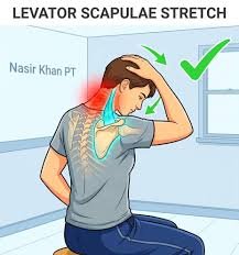 Improving Mobility After Neck Injuries